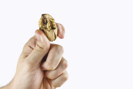 Nutcracker with walnutsの写真素材