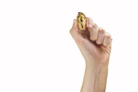 Nutcracker with a handの写真素材