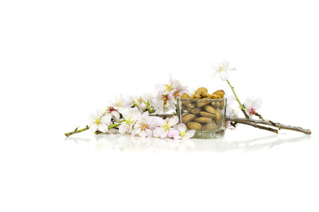Small glass with almonds surrounded by almond flowers.の写真素材