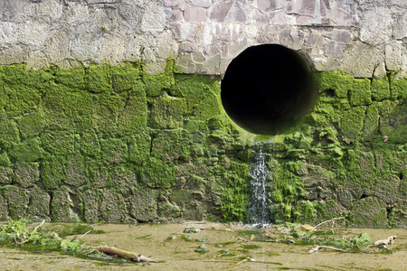 Drainage pipe in a stone wall with green mud.の写真素材