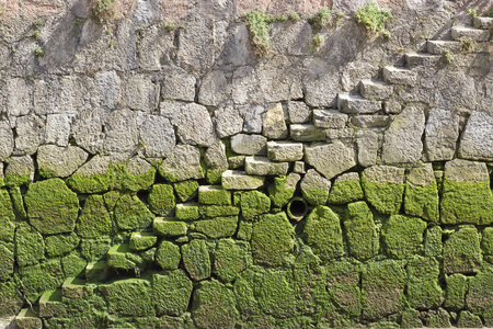 Diagonal stone stairs with green mud.の写真素材