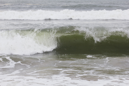 Closeup image of a wave about to crash.の写真素材