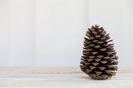 A single pine cone standing on a wooden bench on the right-hand side.の写真素材