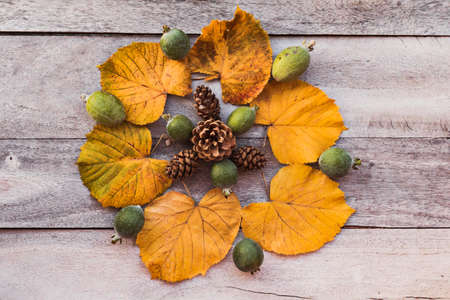 Mandala design made with leaves and natural fall/autumn foliageの写真素材