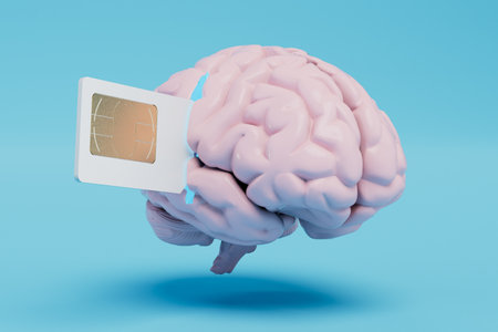 memorization of information from a SIM card, a chip in the brain. the brain into which a SIM card is inserted. 3D rendering.の写真素材
