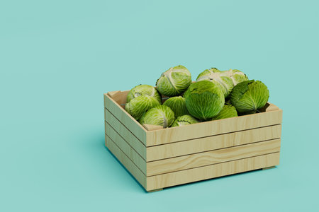 a wooden box with a large hard-boiled cabbage on a turquoise background. 3D rendering.の写真素材