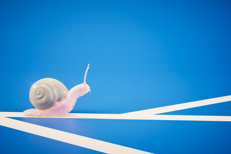a snail slowly crawling along the road markings on a blue background. 3D rendering.の写真素材