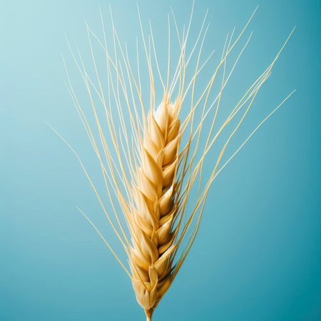 closeup of wheat stalk on solid blue bright background. ai generative.の素材