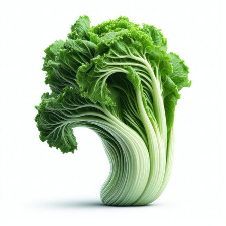 closeup of green vegetable lettuce isolated on white background. ai generative.の素材