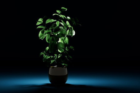 beautiful green flower in a pot on a dark background. 3d render. illustration.の写真素材