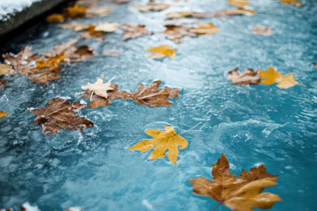 Icy outdoor pool with floating leaves being cleaned, illustrating winter maintenance, debris removal, and off-season pool care.の素材
