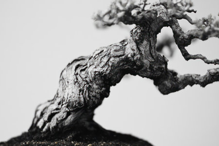 Detailed look at miniature bonsai tree, representing discipline, care, tranquility, and the art of slow natural growth.の素材