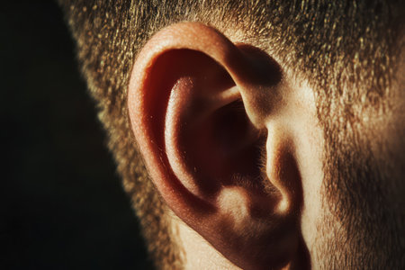 Detailed view of a man's ear showing skin pores and realistic anatomy under gentle lighting, suitable for health or audio-related visuals.の素材