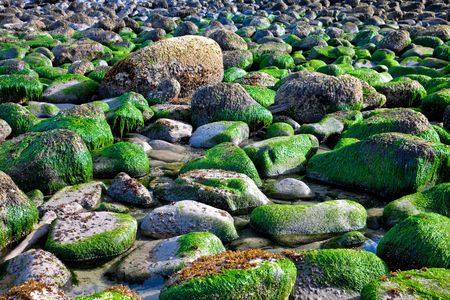 Rocky ocean shore after high tide