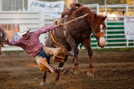 Willits, CA  JULY 03: Participants of 4th of July celebration known as Willits Frontier Dayshost to Californias oldest continuous rodeo. July 03, 2010, at the Willits Frontier Days 2010 rodeo in the town of Willits, California.のeditorial素材