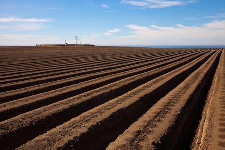 Agricultural field is ready for planting lettuceの写真素材