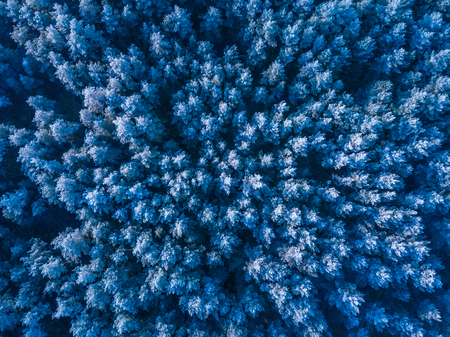 Blue background texture of a frozen forest at winter, aerial shotの写真素材