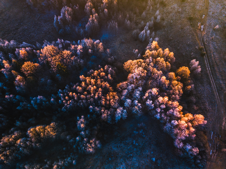 Background texture of a frozen forest at winter evening, aerial shotの写真素材