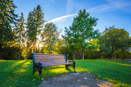 Calm green evening summer landscape with a benchの写真素材