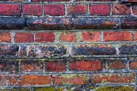 Colorful background pattern of old wallの写真素材