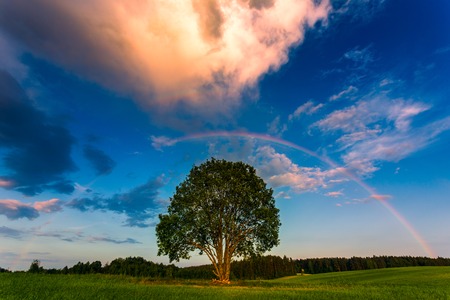 Rainbow over a spring green fieldの写真素材
