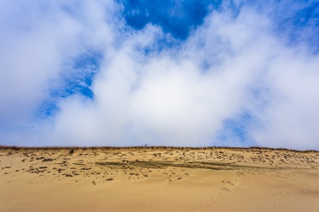 Grey dunes in the Curonian Spit, Lithuania.の写真素材