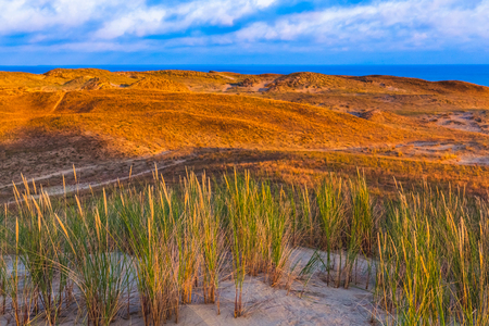 Nida - Curonian Spit and Curonian Lagoon, Nida, Klaipeda, Lithuania. Baltic Dunes.の写真素材