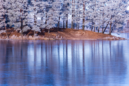 Frozen lake and frost on branches and trees. Weather forecast backgroundの写真素材