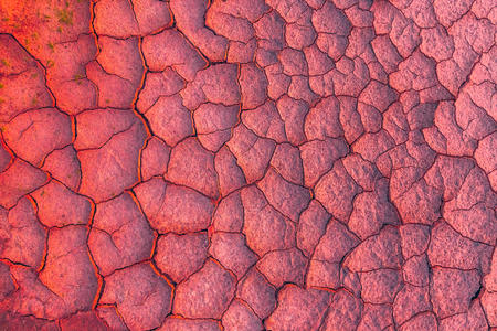 Cracked earth, metaphoric for climate change and global warming.の写真素材