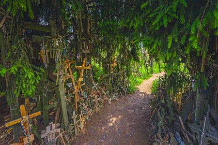 Landscape of Hill of crosses, Kryziu kalnas, Lithuaniaの写真素材