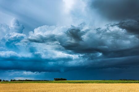 Storm clouds with shelf cloud and intense rain