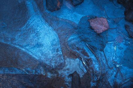 Leaf frozen in the ice, winter backgroundの写真素材