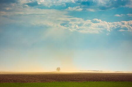 Dust storm in dry fields, dry weather infuenced by climate changeの写真素材