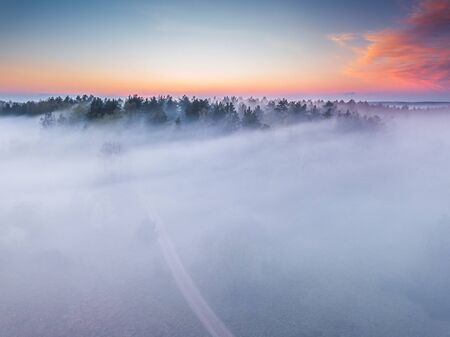 Fog and mist covering the forest in Lithuaniaの写真素材