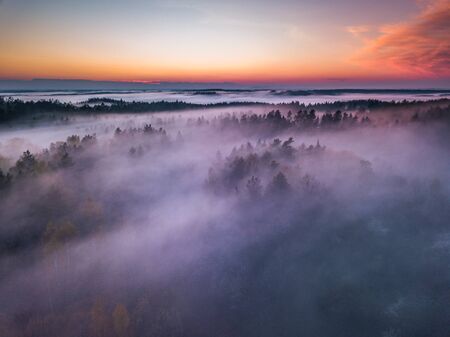 Fog and mist covering the forest in Lithuaniaの写真素材