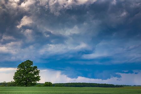 Supercell storm clouds with wall cloud and intense rainの写真素材