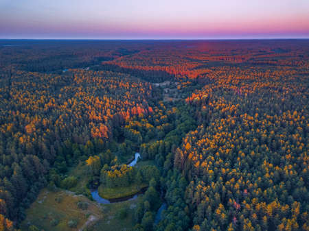 Summer warm sun light forest aerial viewの写真素材