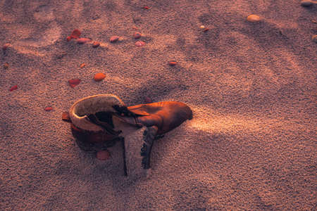 Old used boot lie half buried in desert sand dune in the evening lightの写真素材