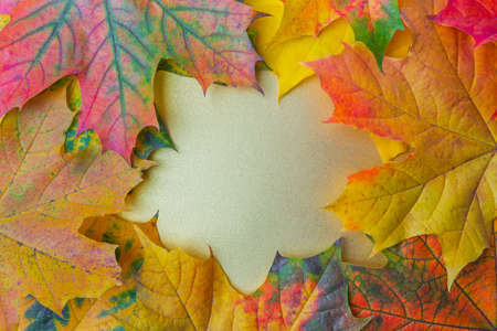 Autumn leaves on a golden background. Flat lay, top view, copy spaceの写真素材