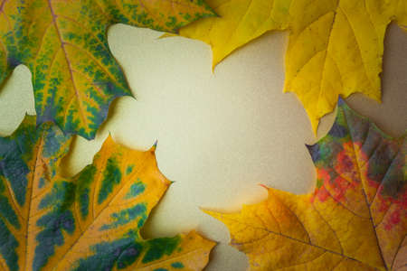 Autumn leaves on a golden background. Flat lay, top view, copy spaceの写真素材