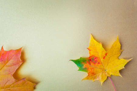 Autumn leafs on a golden background. Flat lay, top view, copy spaceの写真素材