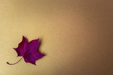 Autumn leafs on a golden background. Flat lay, top view, copy space
