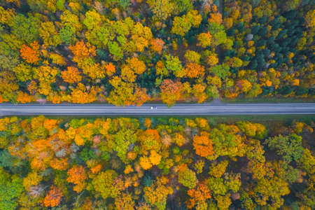 Aerial view of the road passing the forest with a car passing byの写真素材