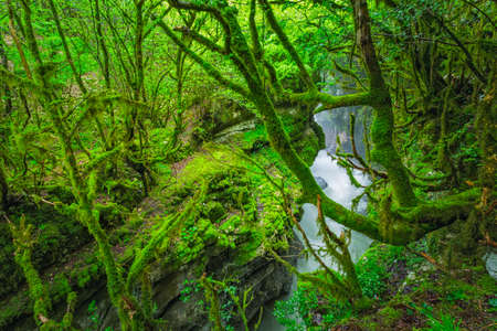 Waterfall in Gachedili canyon, Georgia, wild placeの写真素材