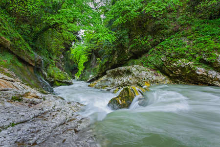 Creek in Gachedili canyon, Georgia, wild placeの写真素材