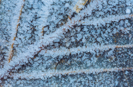 Frozen leaf with ice crystals, winter background