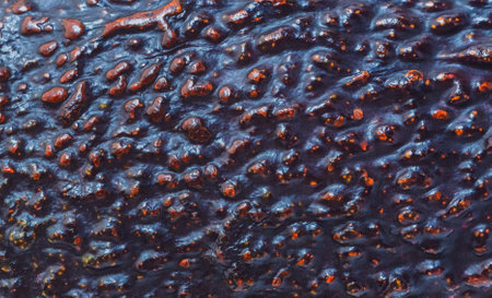 Close up skin pattern texture of avocadoの写真素材