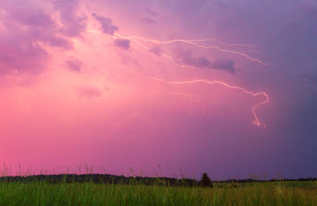 Lightning with with beautiful purple morning light, fresh rain in the summer field landscape