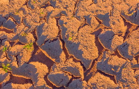 Warm dry cracked land, climate change concept with extreme heatの写真素材