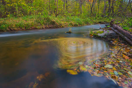 Fallen leaves spinning in the river stream, a whirlpool of yellow leavesの写真素材
